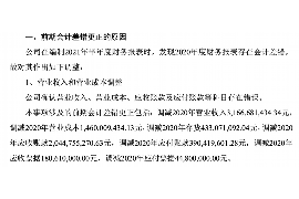 贵南遇到恶意拖欠？专业追讨公司帮您解决烦恼