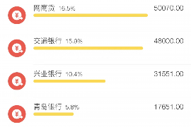 贵南为什么选择专业追讨公司来处理您的债务纠纷？